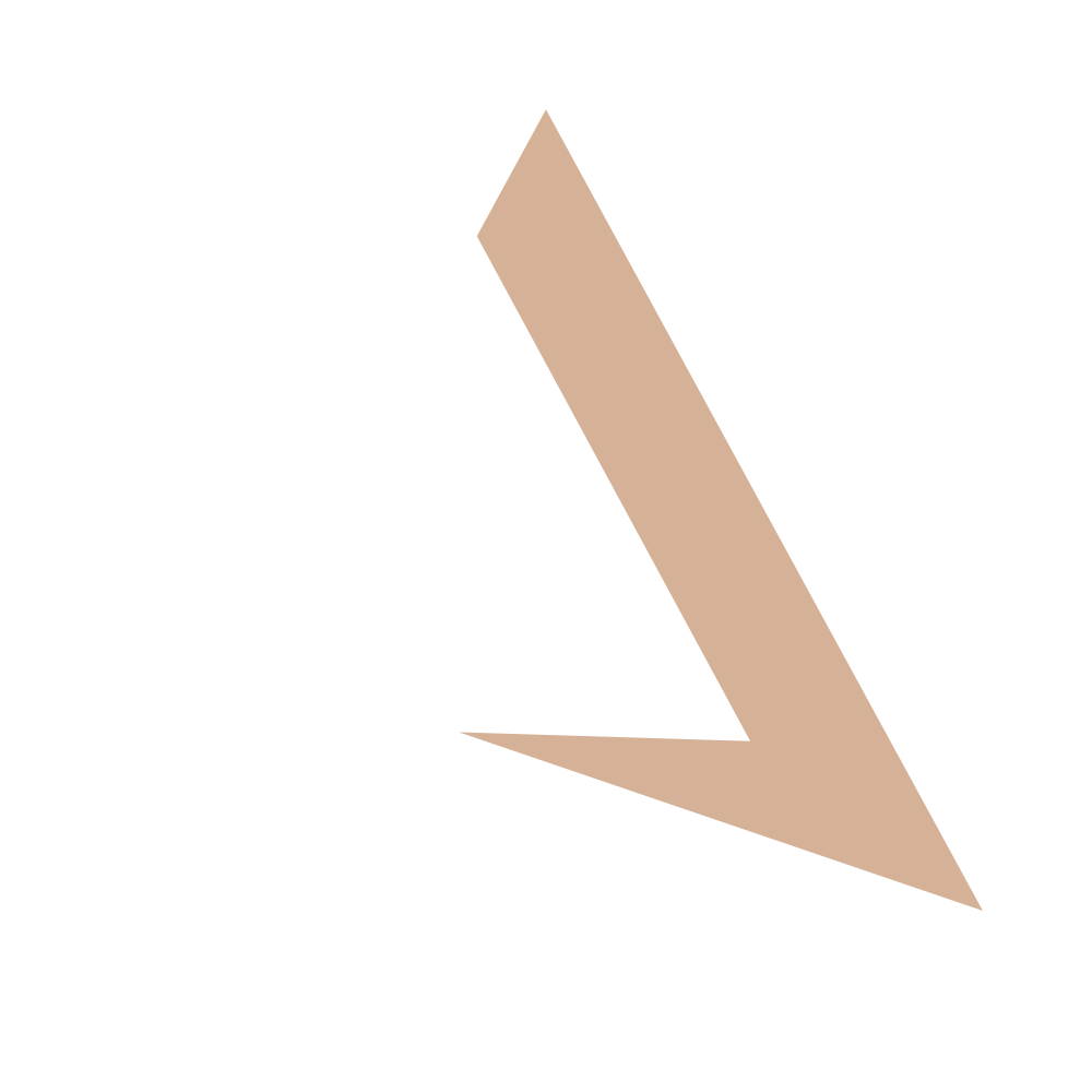 AIS